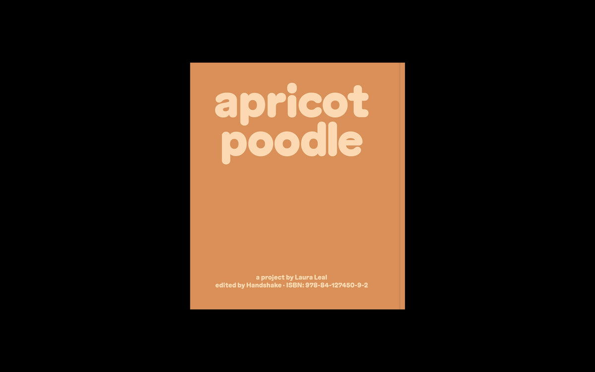 Apricot Poodle