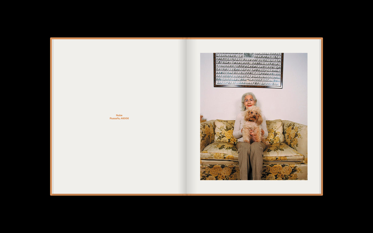 Apricot Poodle
