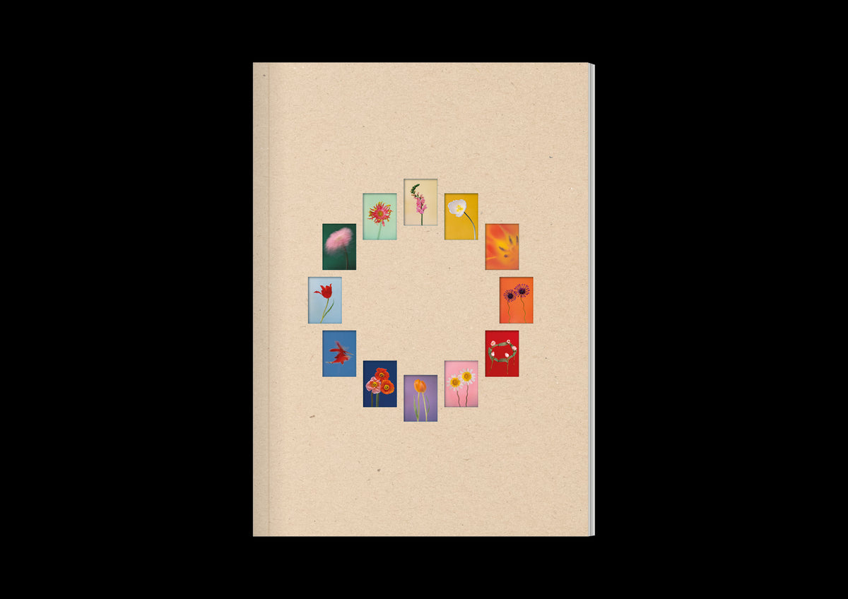 The Chromatics of Flowers
