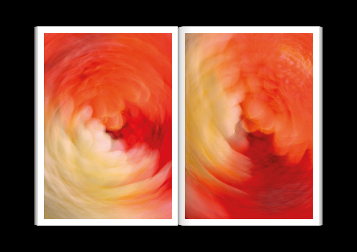 The Chromatics of Flowers