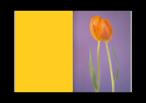 Bunch of Flowers pack