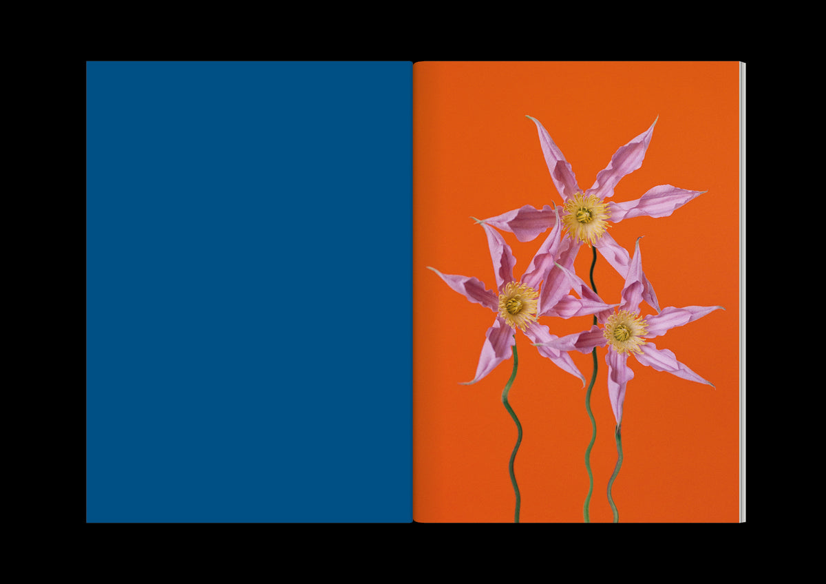 The Chromatics of Flowers