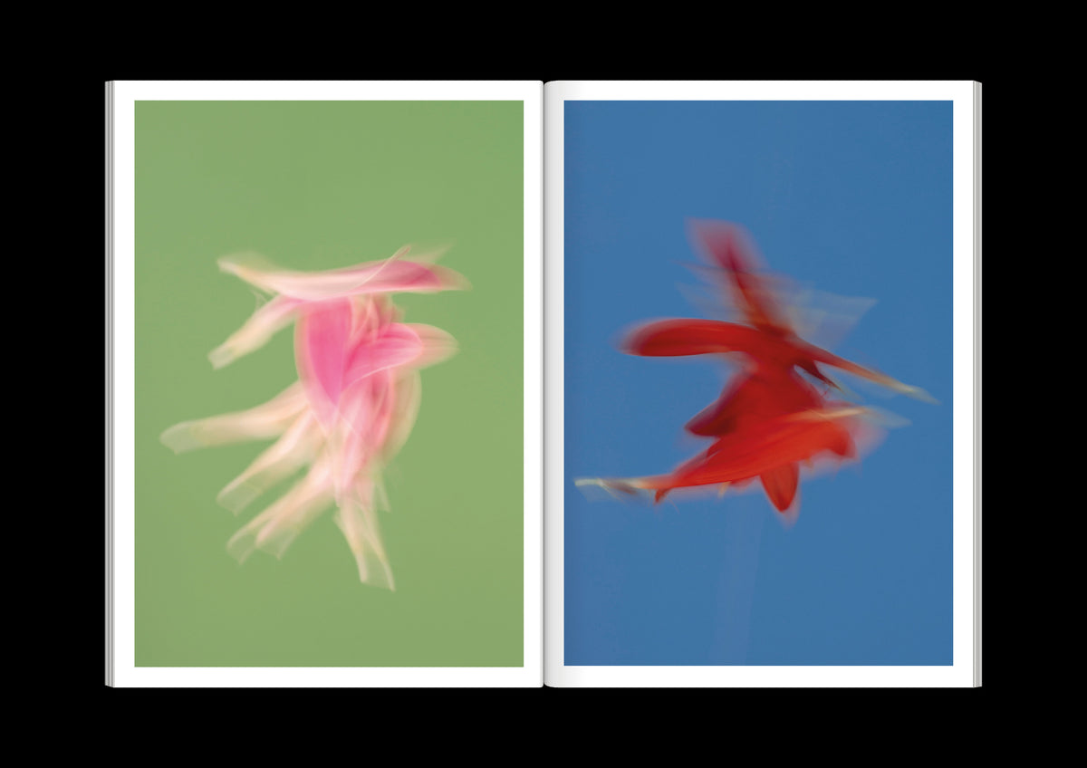 The Chromatics of Flowers