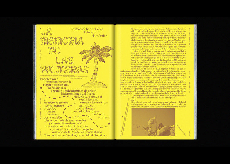 Sin Palmeras no hay Paraíso 6