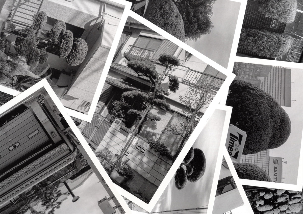 A Guide to Gardening II