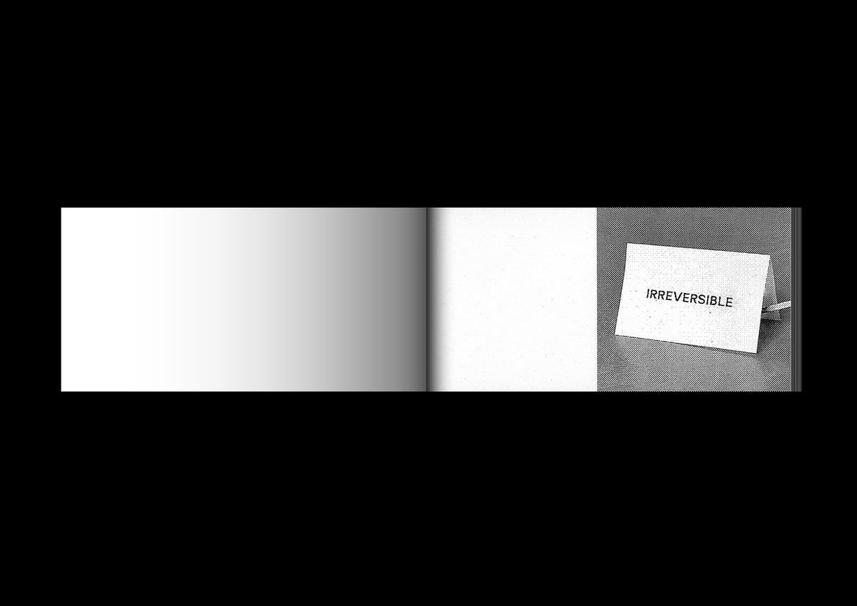 Irreversible Flipbook