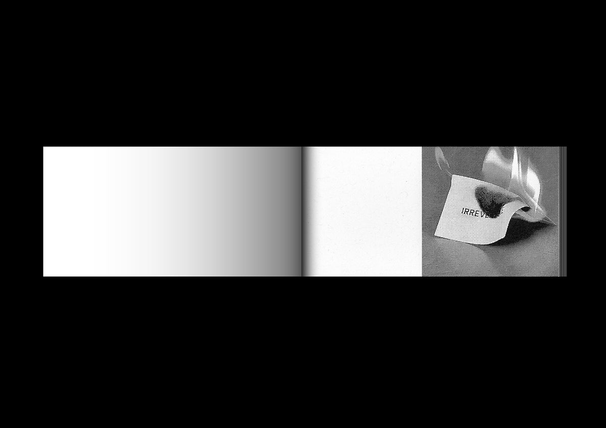 Irreversible Flipbook