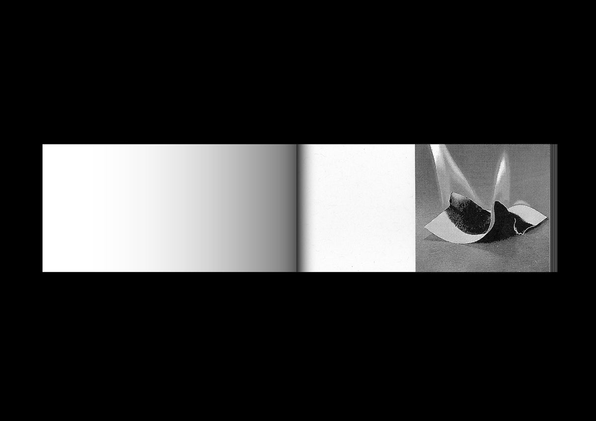 Irreversible Flipbook