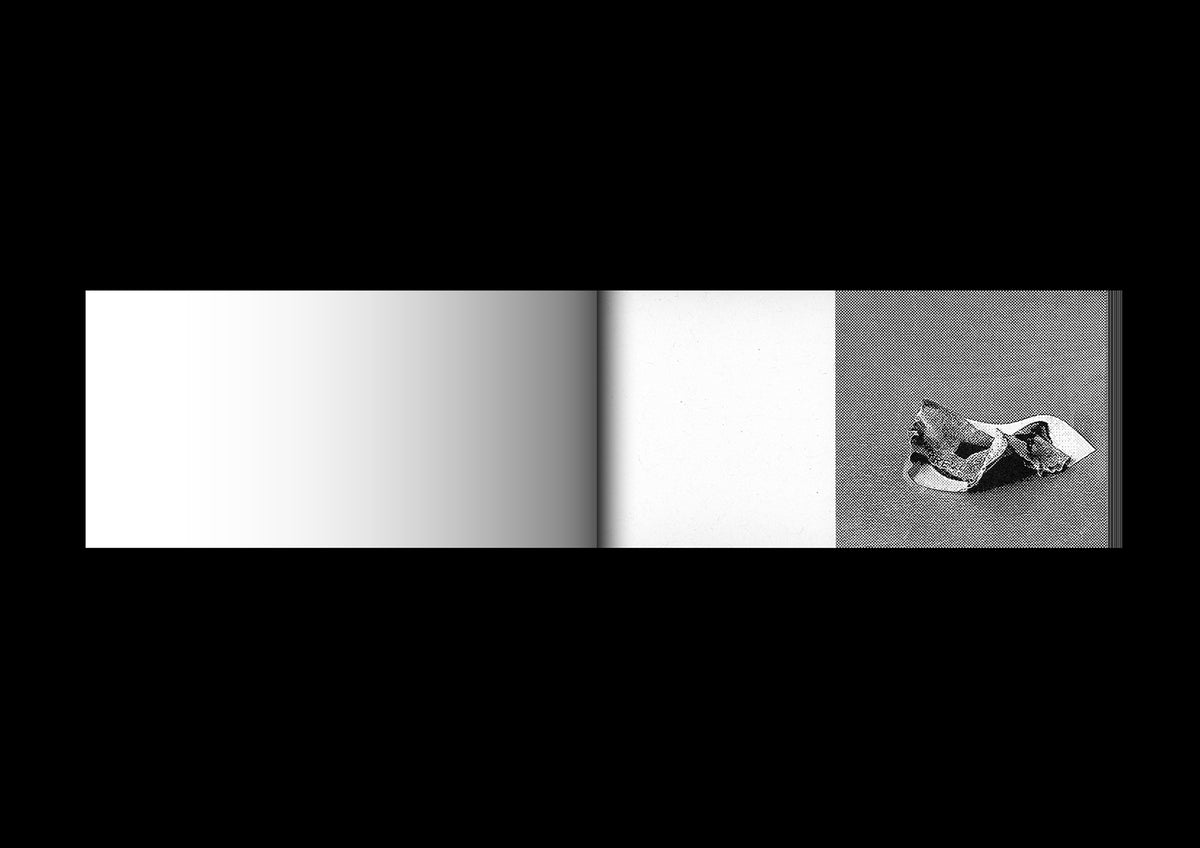 Irreversible Flipbook