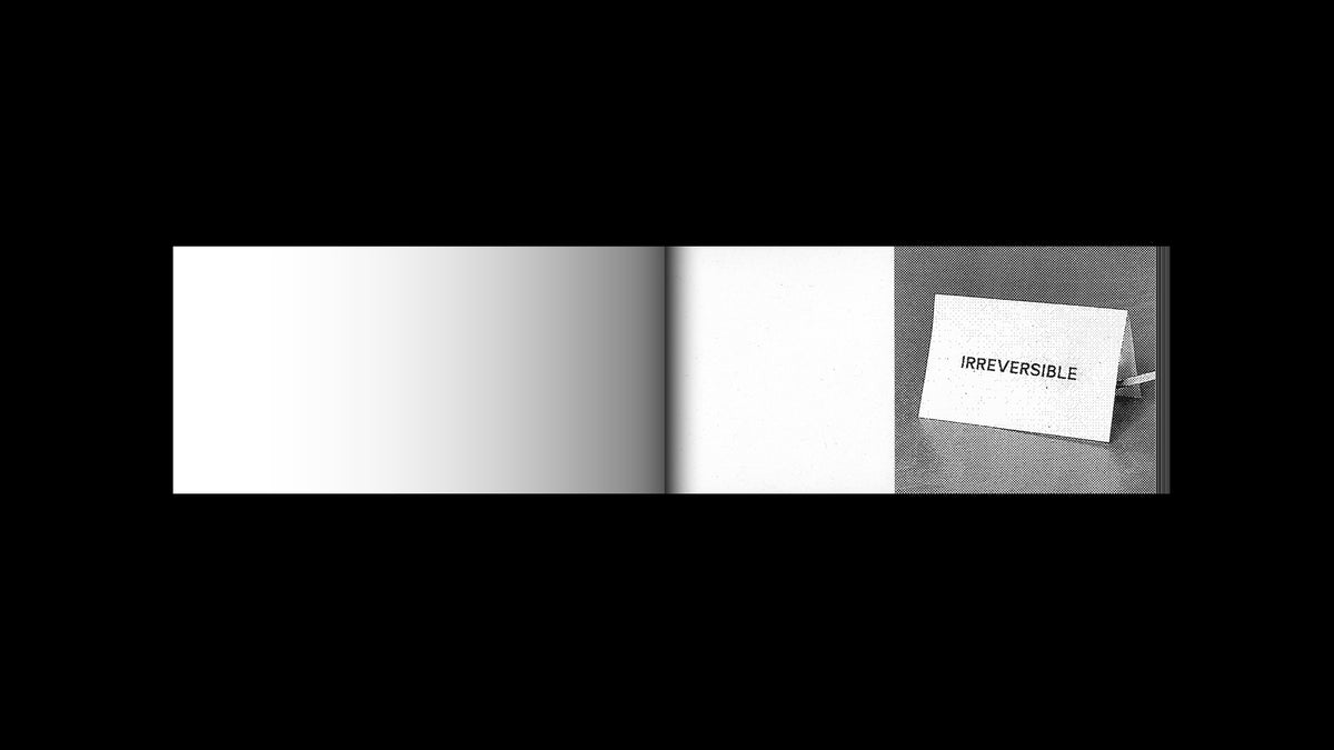 Irreversible Flipbook