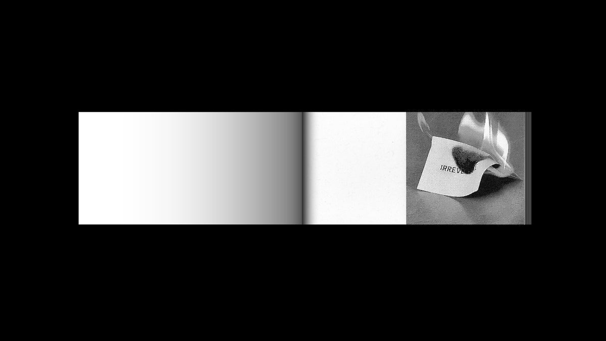 Irreversible Flipbook