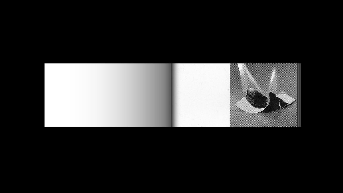 Irreversible Flipbook