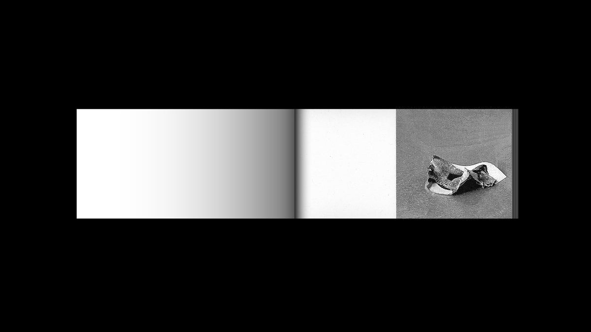 Irreversible Flipbook